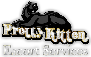 pk_logo_304x192_v001