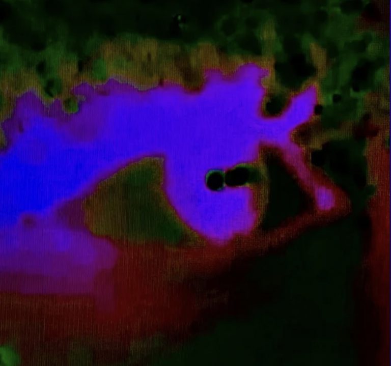 nombreKari-1